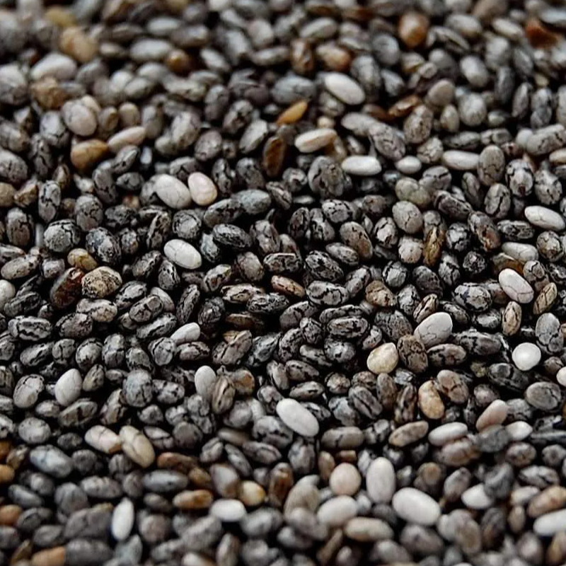 Chia Seeds Main Image